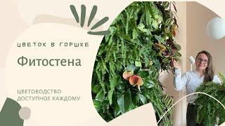 Фитодизайн. Растения для фитостены