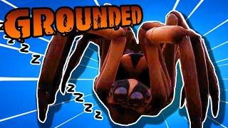 Sleeping Spiders (Grounded funny moments)