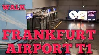 Frankfurt Airport Landing and Arrival Walk Summer 2024