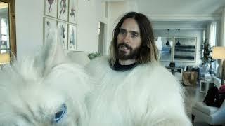 Jared Leto is everyone's cat