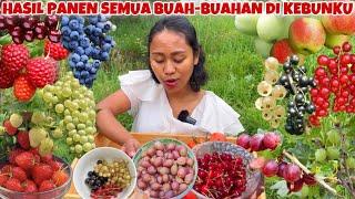 PETIK SEMUA BUAH-BUAHAN YANG ADA DI KEBUNKU