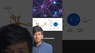 Neural Networks : How computer Learn like Humans #howtobecomeadataengineer #coding #jeemains