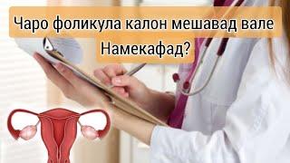 Сабабҳои накафидани фоликула, набудани овуляция? Чавоб ба саволхо #набуданиовуляция #хаётисолим