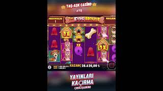 DOG HOUSE MAX WİN ALDIK #slot #canlıyayınslot