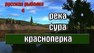 Русская рыбалка 4(рр4) - река Сура. Красноперка