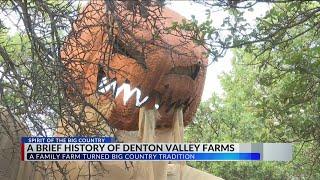 Denton Valley Farms pumpkin patch opens haunted forest trail