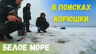 ЗИМНЯЯ РЫБАЛКА на Белом море. В поисках КОРЮШКИ.