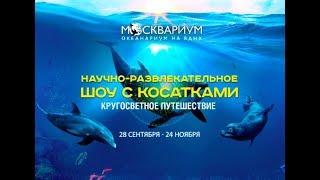 Шоу «Кругосветное путешествие» в Москвариуме! С 28 сентября!