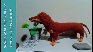 Такса - охотничья собака! ,ч.3. Dachshund is a hunting dog!, р.3. Amigurumi.