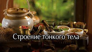 Строение тонкого тела. О строении тонкого тела человека. “Откуда и почему” тонкое тело.