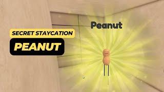 How to Get Peanut in Secret Staycation Roblox