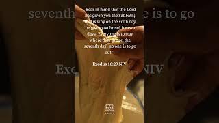 Biblescape ( Exodus 16 : 29 NIV)