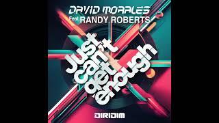 David Morales feat. Randy Roberts - Just Can't Get Enough (Original Mix)