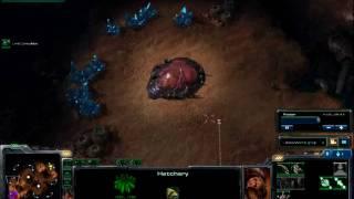 Starcraft 2 Beta - PlayXP Korean Tournament Finals - ZenioWerra vs. ChangDuSeop Game 1