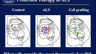 Eva Feldman, M.D., Ph.D. - Stem Cell Therapy in Motor Neuron Disease