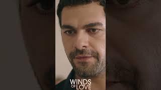 Fırat Çiftliği'nin hanımı Zeynep Fırat! | #windsoflove #shorts #ruzgarlitepe #turkishseries