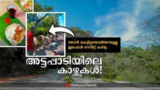 അട്ടപ്പടിയിൽ ആരും കാണാത്ത കാഴ്ചകളും വഴികളും | attapadi #theruvuthendi #malayali #kerala