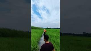 Feel this weather ️ #weather #reels #shorts #trending #viral #agarmann