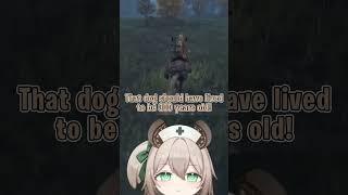 Nimi has something against weird shelled-dogs? Short [Nimi Nightmare - Elden Ring]