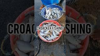 Croacker fishing #seafood #seafoodslover #fish