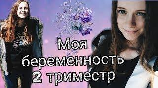 МОЯ БЕРЕМЕННОСТЬ 2 ТРИМЕСТР / ШЕВЕЛЕНИЯ , ПОЛ РЕБЕНКА , СОХРАНЕНИЕ