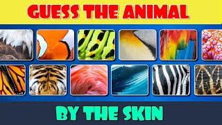 Guess 50 Animals by the Skin