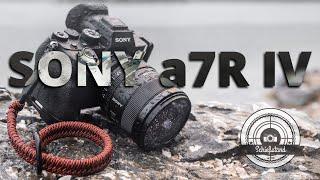 Wer zum Teufel braucht schon 61 MP? SONY a7R IV Langzeit-Review