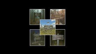 A Compilation of Strange Outdoor Experiences - June 2025