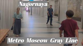 Nagornaya station. Moscow Metro, Gray Line  Fragment (completely)