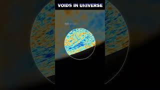 Where Galaxies Fear to Tread: Voids