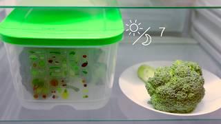 Умный холодильник 4,4 Л Tupperware-spb.ru