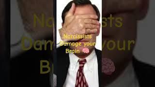 Narcissists Abuse your Brain How Narcissistic Abuse Affects your Brain