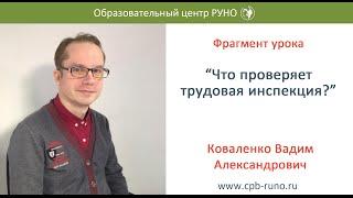 Что проверяет трудовая инспекция?