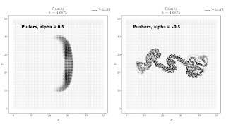 Active matter invasion of a viscous fluid - 1/4