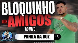 PANDA NA VOZ | BLOQUINHO DOS AMIGOS 2024 | AO VIVO PRA PAREDAO