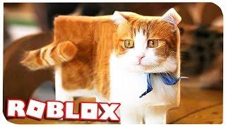 СИМУЛЯТОР КОТА В РОБЛОКС !!! | ROBLOX ПО РУССКИ | | Роблоксер Альберт