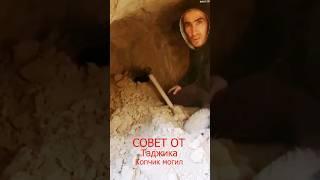 совет Ауф