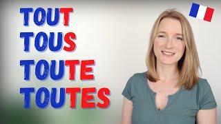 Tout Toute Tous Toutes in French - Difference, Rules & Examples | French Grammar 