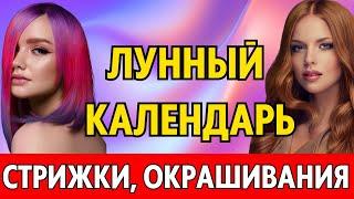 НА ДЕКАБРЬ. Лунный календарь стрижки и окрашивания волос декабрь 2023