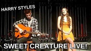talana jordan// sweet creature live (harry styles)
