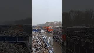 Уборка свёклы 1 снег ️ #кфх #механизатор #2024 #осень