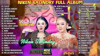 50 LAGU TRENDING NIKEN SALINDRY FULL ALBUM TERBARU 2024 - TULUS - DUMES  || KEMBAR MUSIC DIGITAL