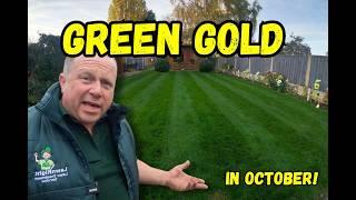 Keeping my lawn DARK GREEN in October