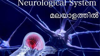 NERVOUS SYSTEM BASICS  Malayalam Explanation