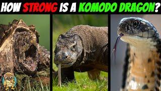 What Makes Komodo Dragons the STRONGEST Reptiles on Earth?