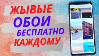 Где скачать ЖИВЫЕ ОБОИ на своей телефон Xiaomi БЕСПЛАТНО?