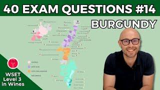 Burgundy: 40 Exam Questions WSET Level 3 in Wines I Video #14