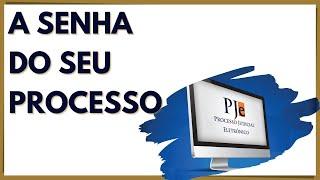 MEU ADVOGADO NÃO ME DÁ A SENHA DO PROCESSO!