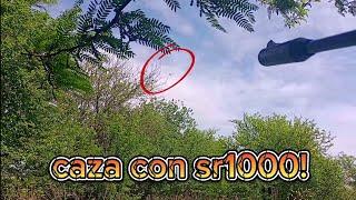 CAZA y CONTROL en el PUENTE de FIGUEREDO!️ IMPERDIBLE!! @Caza1994