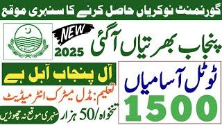 Government of Punjab new government jobs 2025|today all jobs update